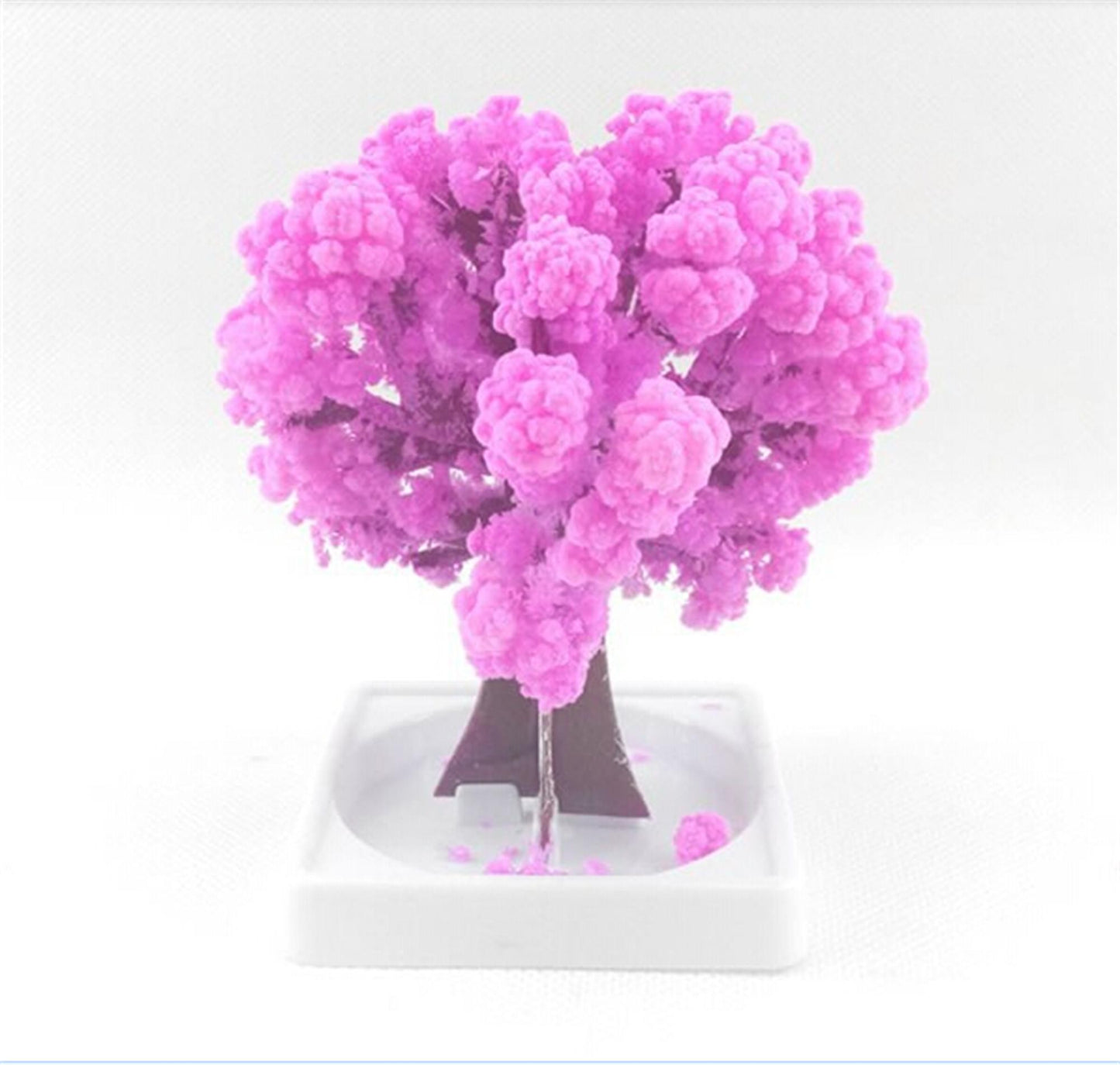 |14:1052#Pink;200007763:201336100;977:200000313#Medium Size