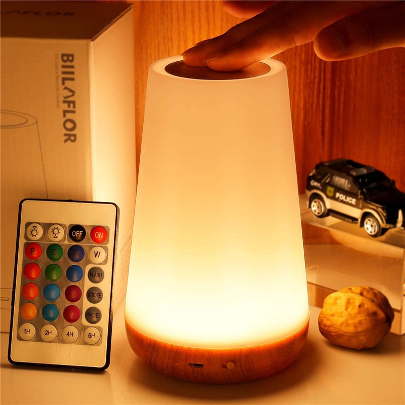 13 Color Changing Night Light RGB Remote Control Touch Dimmable Lamp